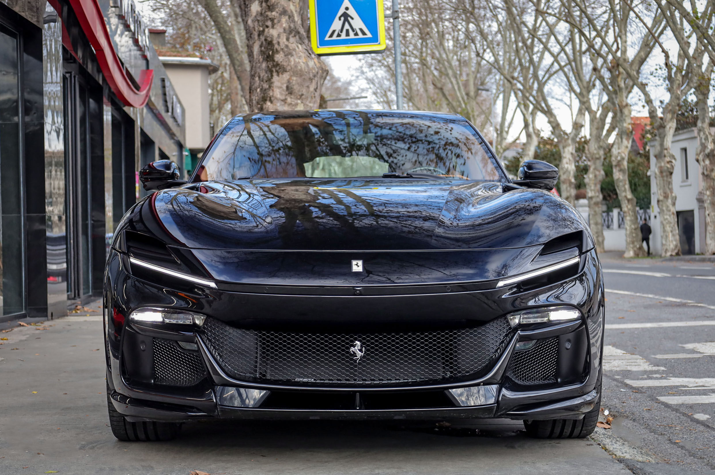 FERRARI PUROSANGUE 6.5 V12 4WD